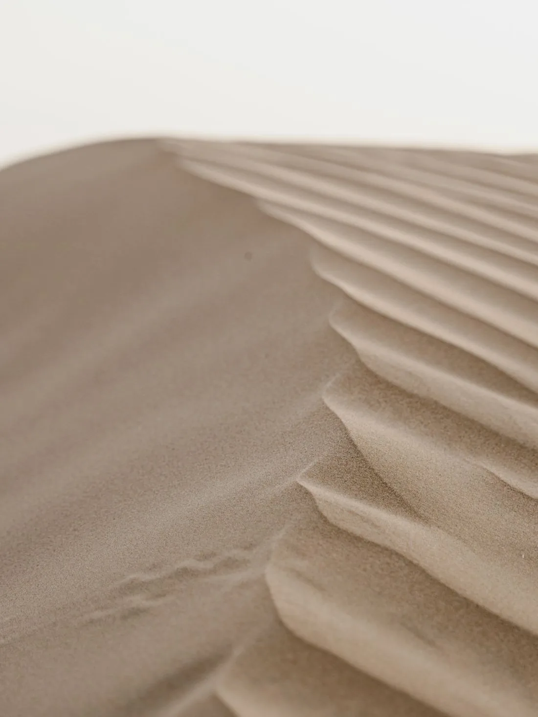 Fine ripples in pale sand lit at a low angle
